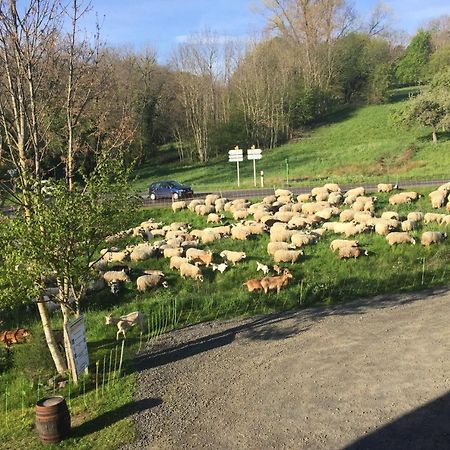 Cote Puy-De Dome Bed & Breakfast ออร์ซีนส์ ภายนอก รูปภาพ