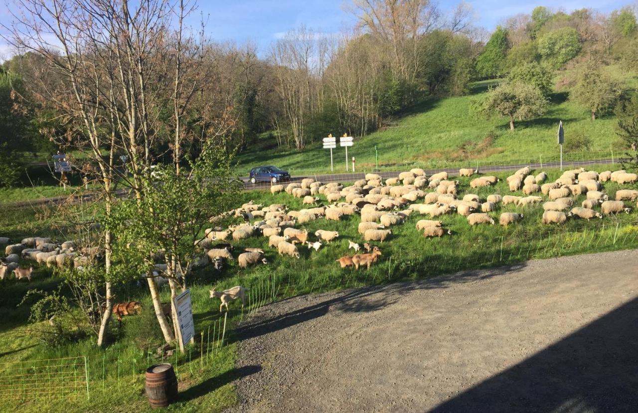 Cote Puy-De Dome Bed & Breakfast ออร์ซีนส์ ภายนอก รูปภาพ